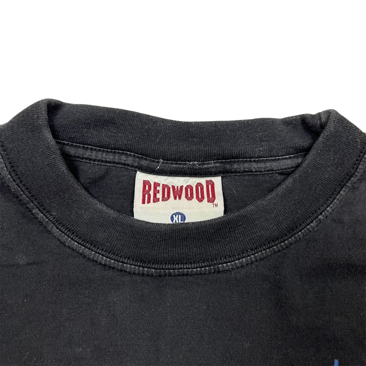 1998 JANET JACKSON The Velvet Rope World Tour Promo Tee / XL
