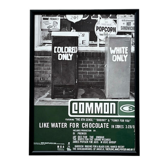 2000 COMMON “Like Water for Chocolate” Album Promo framed cut out 21x28cm