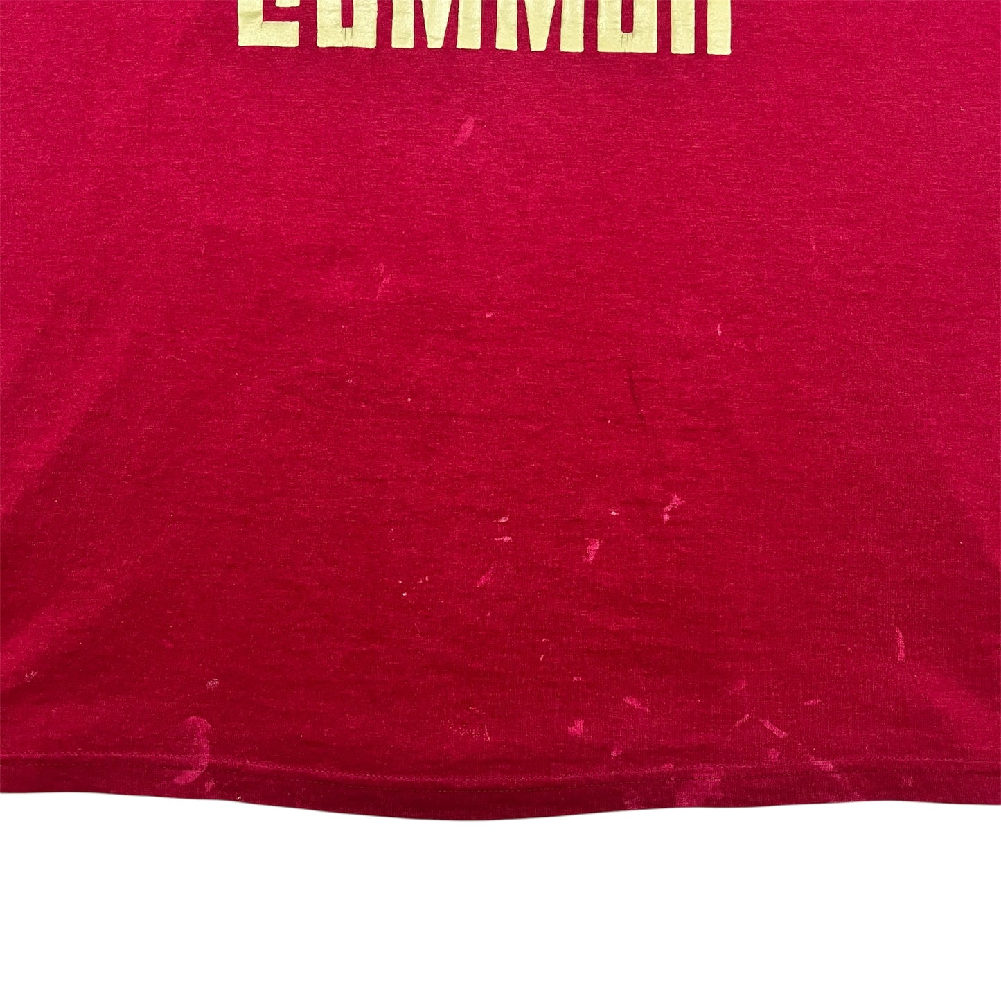 1997 COMMON SENSE One Day It’ll All Make Sense Album Promo tee / XL-XXL